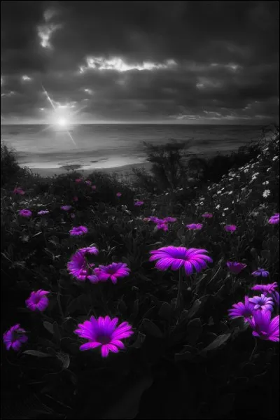 C'est une belle main au poker.