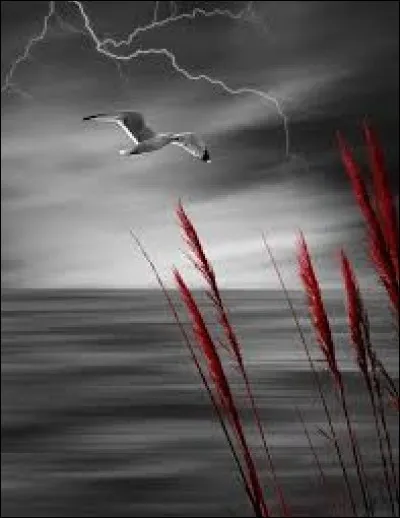 Elle est toujours belle.