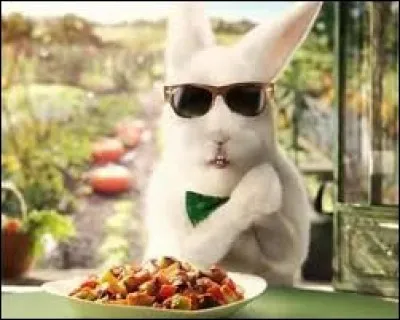 Ce lapin blanc est la mascotte de quelle marque ?