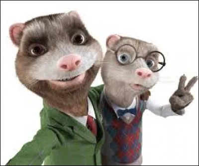 Deux furets sont utilisés comme mascotte d'un site internet qui...