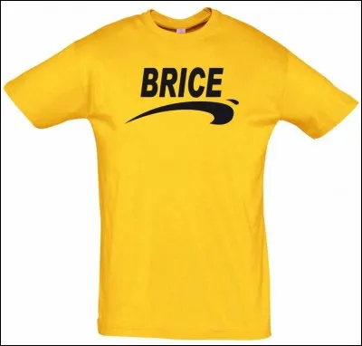 Qui a joué le rôle de Brice de Nice dans le film du même nom ?