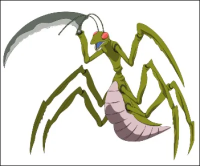 Quelle est cette mante religieuse ?