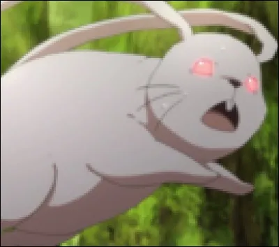 Et ce petit lapin est :