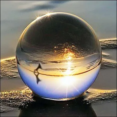 Qu'enseigne-t-on à l'école Boulle, à Paris ?