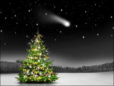 Et que dit le petit sapin de Noël mécontent de ses belles boules dorées ?