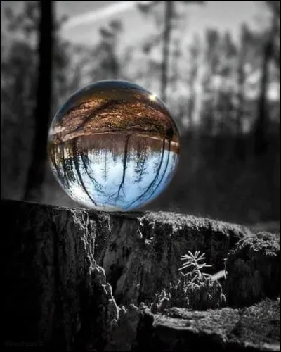 Qui a écrit "Boule de suif" ?