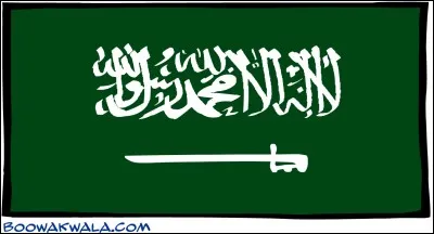 À quel pays appartient ce drapeau ?