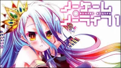 Comment appelle-t-on Sora et Shiro, car ils n'ont pas de pseudo ?