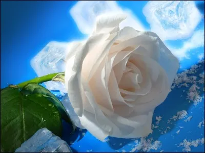 Quand le bateau s'en va, qui pense aux roses blanches de Corfou ?