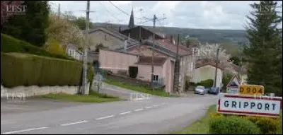 Nous sommes maintenant dans le Grand-Est, à l'entrée de Gripport. Village sur la rive gauche de la Moselle, dans l'arrondissement de Nancy, il se trouve dans le département ...