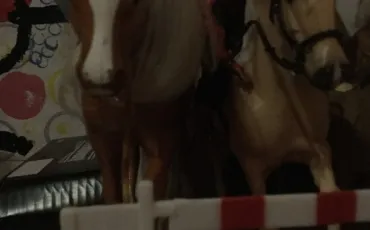 Quiz Galop 2