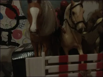 Le trot est une allure...