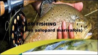 Quel est l'autre nom de la pêche à la mouche ?