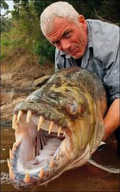 Qui présente ''River Monsters'' ?