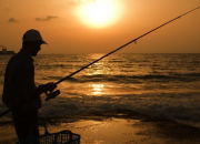 Quiz Les poissons d'eau douce