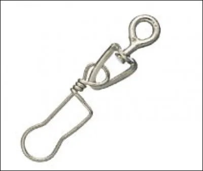 Quelle est cette chose ?