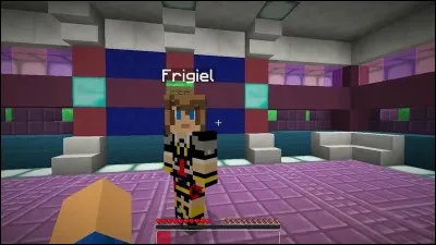 Quelle est la couleur pr&eacute;f&eacute;r&eacute;e de Frigiel ? L'(e) :