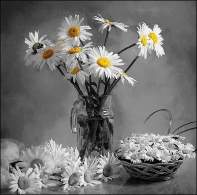 Quel est le film de Jean-Pierre Mocky qui réunit Francis Blanche, Claude Rich et Michel Serrault ? Aidez-vous de l'image, je vous fais une fleur !