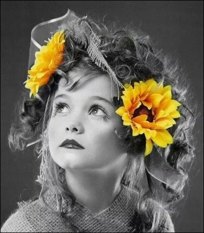 Quel est le titre de ce roman de Noëlle Châtelet ?