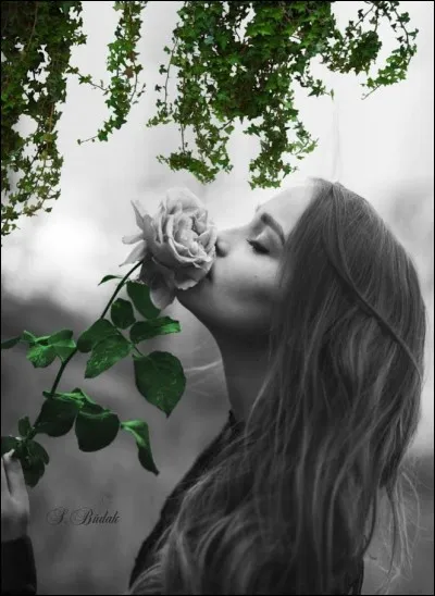 Qui est l'interprète des paroles "C'est ainsi par ici que les choses ont changé, que les fleurs ont fané" ?