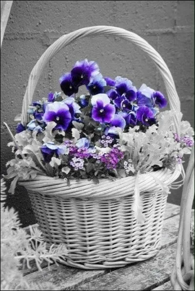 Si ce quiz est truffé de questions simplistes, on peut dire que c'est un quiz à l'eau de rose ! Mais encore...