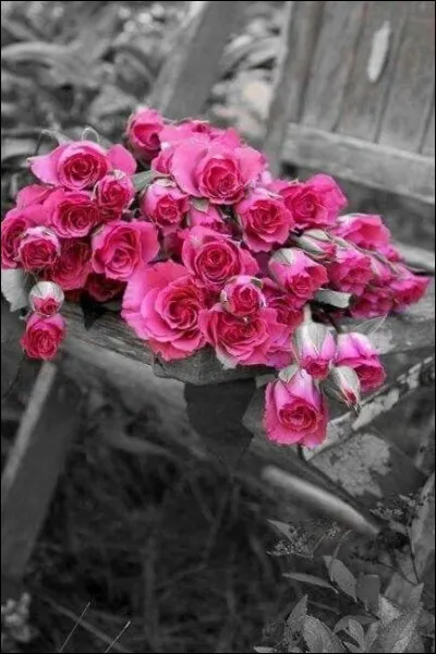 Quel grand musicien de jazz est connu pour "Roses de Picardie", et plus encore pour "Petite Fleur" ?