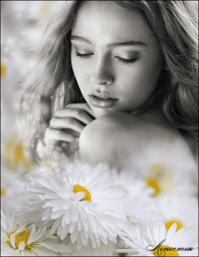 Qui chantait "je paierais cher pour revivre un seul instant, le temps du bonheur à l'ombre d'une fille en fleur" ?