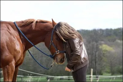 Ton cheval et toi, vous :