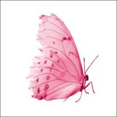 Qui a chanté "Papillon de lumière" ?