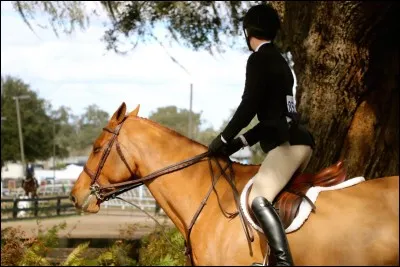 Comment fais-tu pour faire du trot enlevé ?