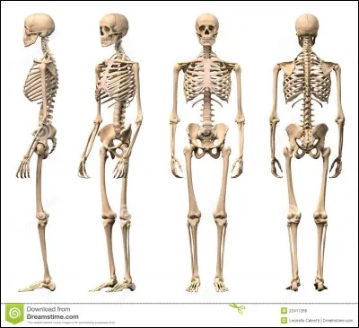 Quelle voyelle s'&eacute;crit deux fois dans ce mot ?