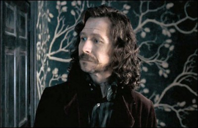 Qui est Sirius Black pour Harry ?