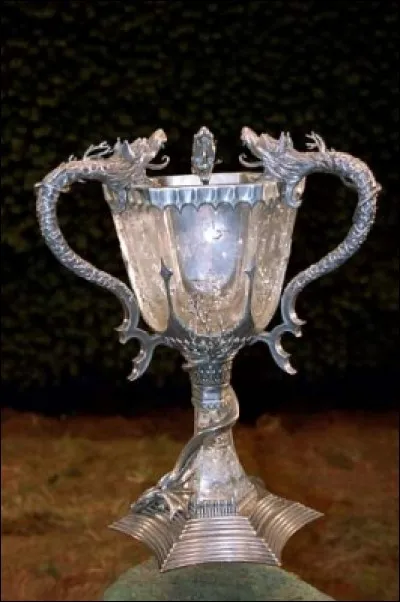 Qui se fait tuer par Voldemort lors du Tournoi des Trois Sorciers ?