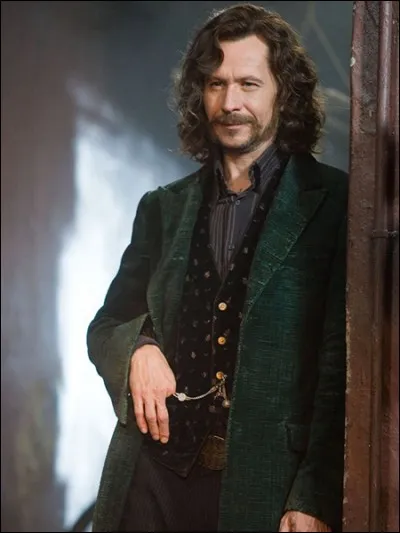 Qui a tué Sirius Black ?