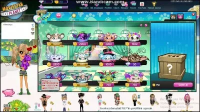 Combien de Petpets peut-on avoir dans une chambre ?