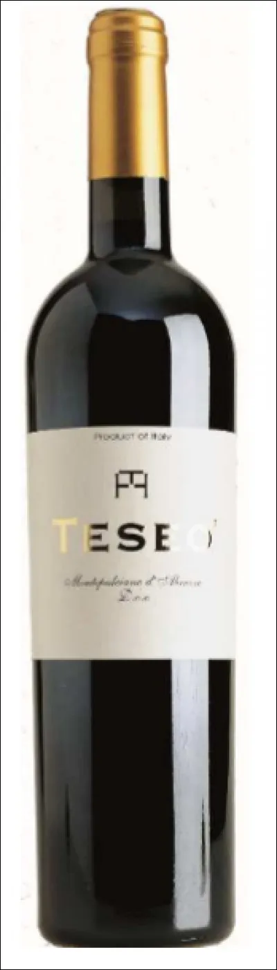 Teseo Montepulciano rouge : 12 mois en barrique, 4-6 mois en bouteille.
Allié des plats de pâtes avec viande, viande rouge ou 
fromages affinés. De quelle région vient-il ?