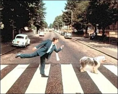 A la suite d'un accident de voiture sans gravité le bruit courut que Paul était mort et qu'un sosie le remplaçait.
Amusé, il sortit en 1993 un album intitulé ... . Pour la pochette il reprit le même passage piéton, cette fois-ci accompagné d'un chien.