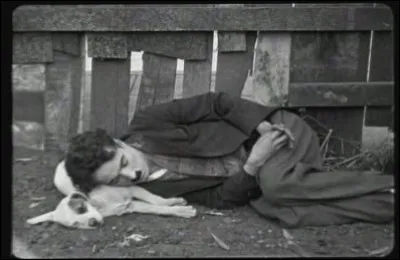 Qui réalise " une vie de Chien" ?