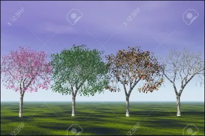 Quelle est ta saison pr&eacute;f&eacute;r&eacute;e ?