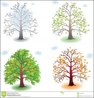 Quelle est la saison que tu préfères ?