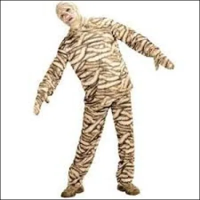 Comment appelle-t-on ces personnages ensevelis sous leurs bandeaux ?