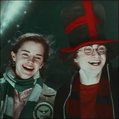 Hermione assiste à la finale de la Coupe du Monde de Quidditch. Quels sont les pays qui s'affrontent lors de ce match ?