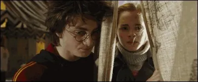 Rita Skeeter prend une photo entre Harry et Hermione juste avant la Première tâche. Que faisaient-ils à ce moment-là ?