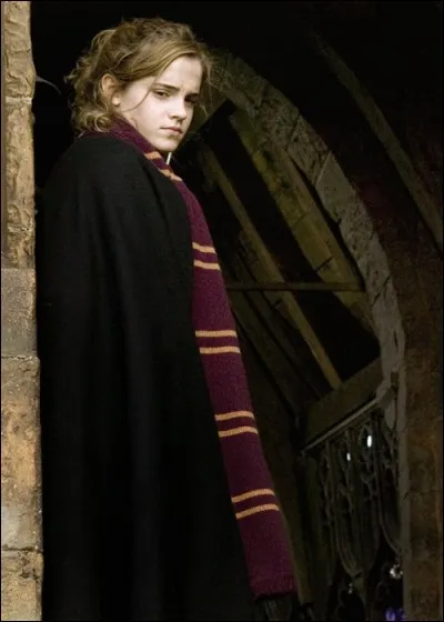 Hermione fait partie des personnes se trouvant au lac noir lors de la Deuxième tâche.