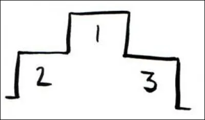 Dans l'ordre décroissant, quelles sont les plus grandes espèces de félins sauvages ? (tailles moyennes)