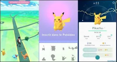 Préfères-tu être un Pokémon sauvage, attrape ou les deux ?