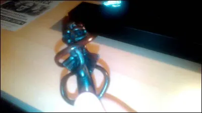 À qui appartient cette baguette ?