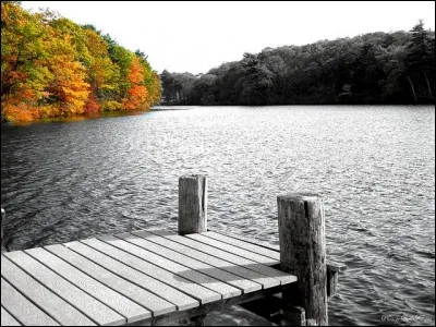 Dans le poème de Verlaine "Chanson d'automne", quels instruments de musique produisent des sanglots longs" ?