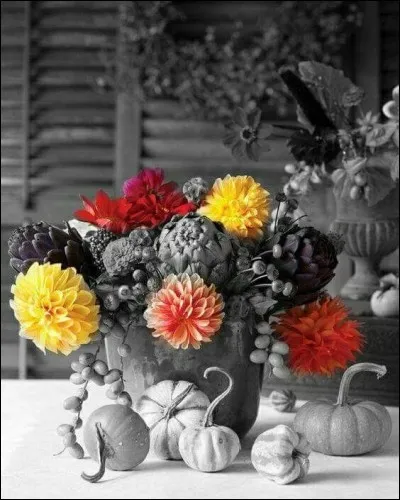 Que sont ces jolies fleurs colorées dont la floraison peut se prolonger au-delà de l'été, parfois jusqu'à fin octobre ?