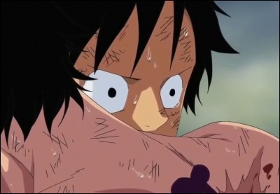 Commençons par "One Piece". Le personnage principal tient dans ses bras le corps mourant d'une personne très chère à son cur. Il lui dit ses derniers mots puis part pour un monde meilleur. Mais qui est donc cette personne nous ayant fait partir en dépression ?